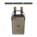 Wireless KTV party Speaker - TRACK28 - 2.jpg