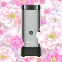 Luxury Incense Burner - AM668 - 4.jpg